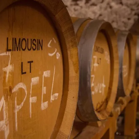 Ξενοδοχείο Ringhotel Liebenstein Neckarwestheim